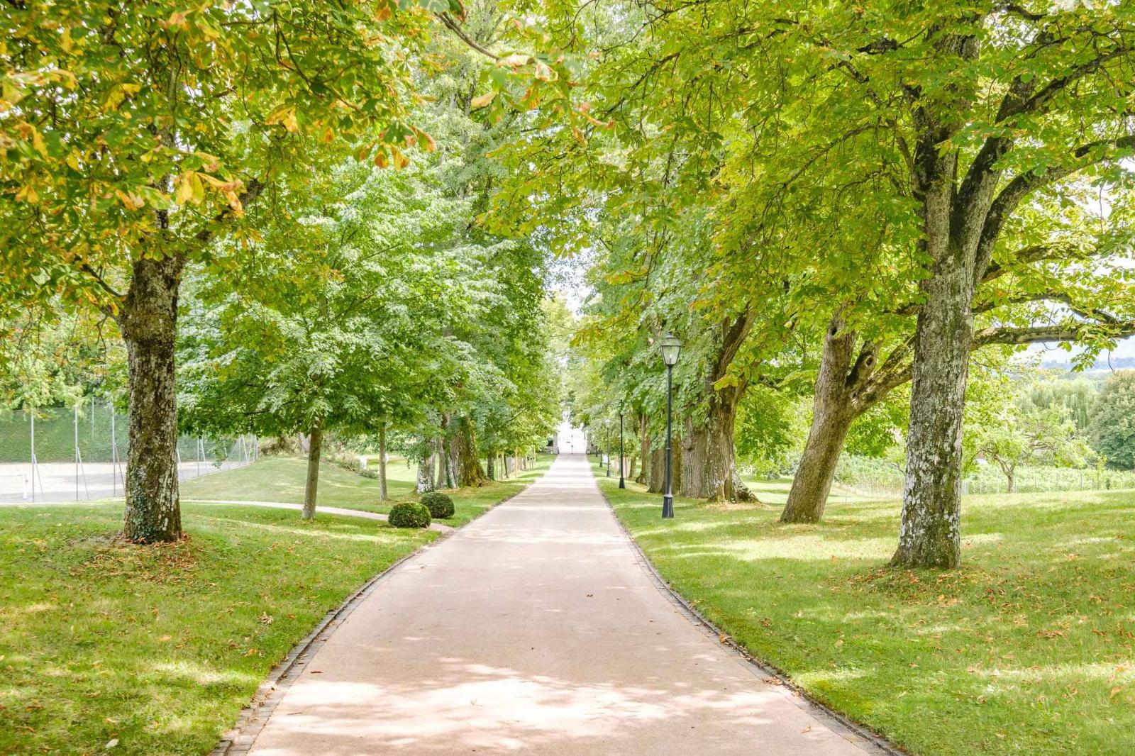 En exclusivité : Magnifique domaine avec dépendance
