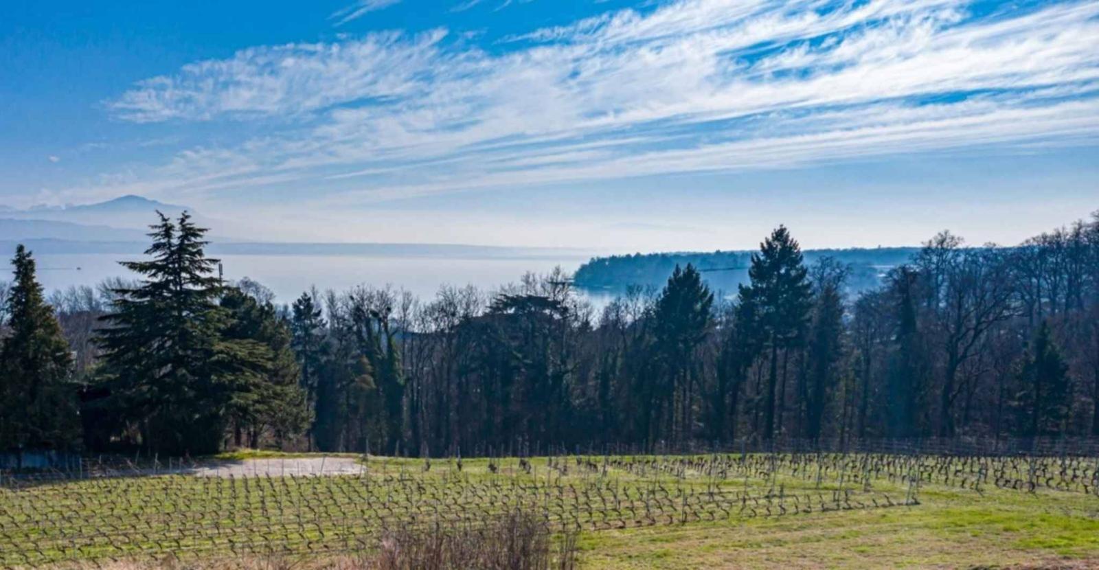Propriété d’exception avec vue panoramique sur le lac
